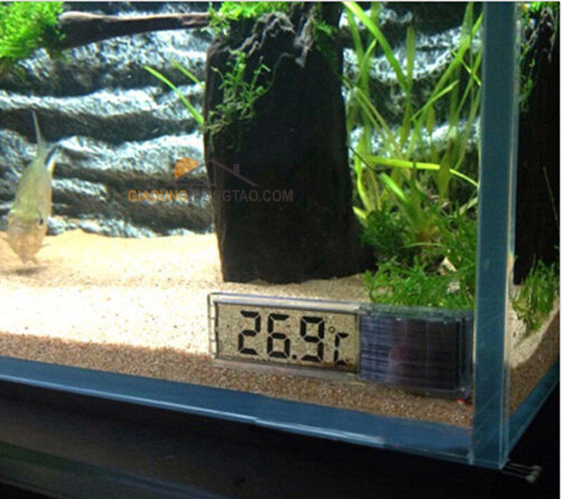 Nhiệt kế điện tử WT-997 đo nhiệt độ nước bể cá cảnh – A LÔ CÁ